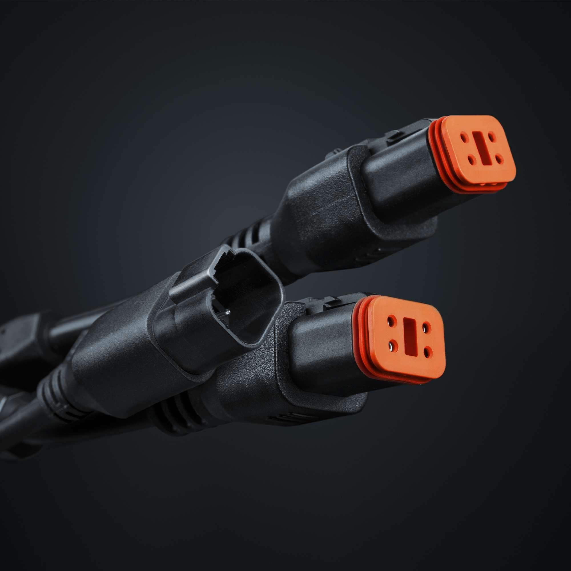 Strands STRANDS PRO DT-4PIN TO 2X DT-4 PLUG SPLIT